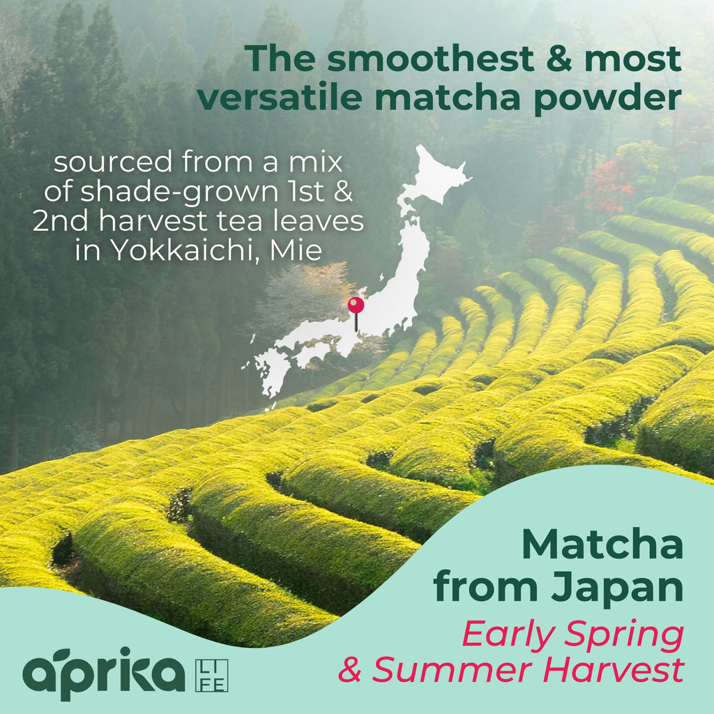 AprikaLife Organic Matcha Powder, USDA & JAS Certified, No Sugar Added, Authentic Japanese Cafe Grade Matcha Green Tea Powder Perfect for Matcha Lattes, Smoothies & Baking, 3.5 oz/100g