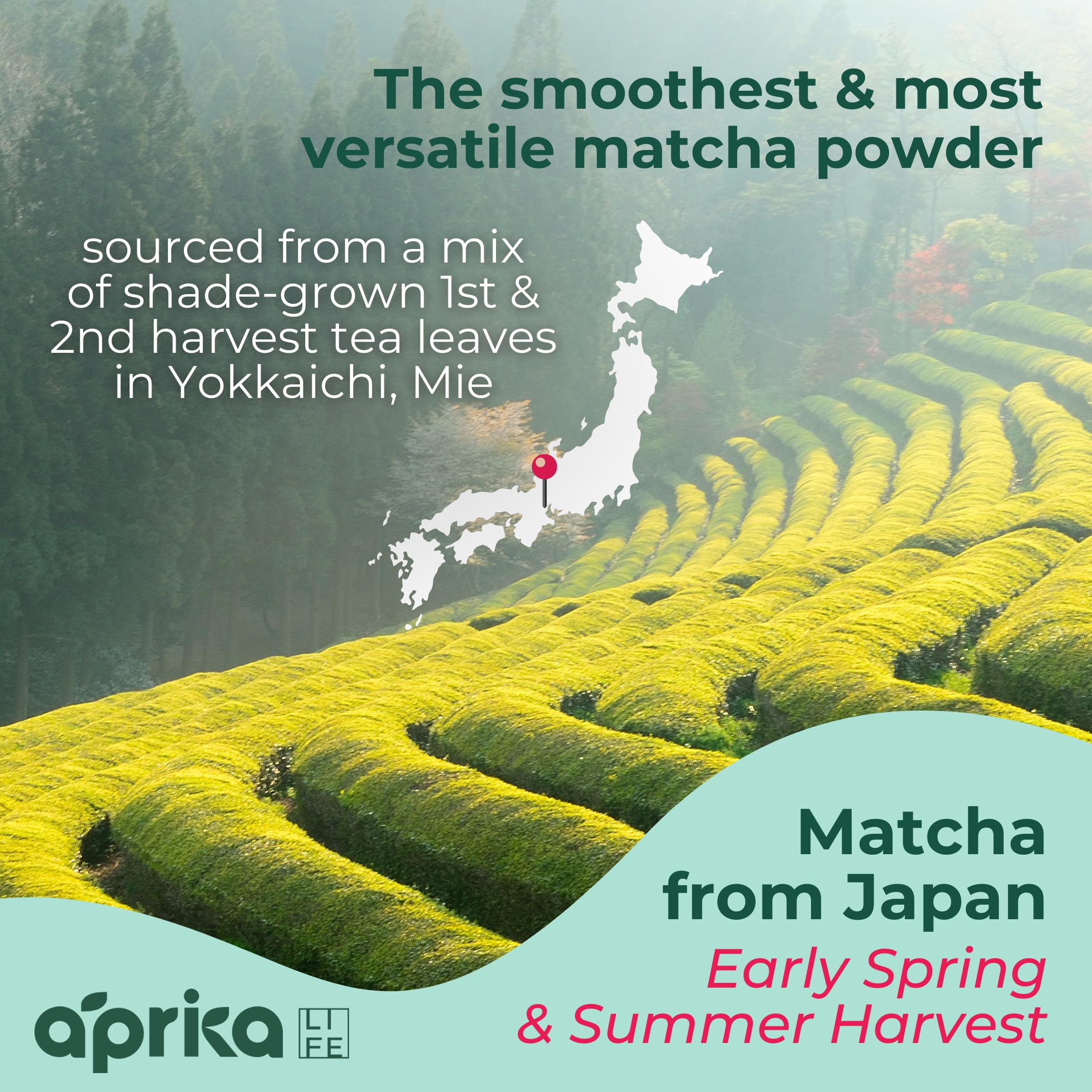 AprikaLife Organic Matcha Powder, USDA & JAS Certified, No Sugar Added, Authentic Japanese Cafe Grade Matcha Green Tea Powder Perfect for Matcha Lattes, Smoothies & Baking, 3.5 oz/100g