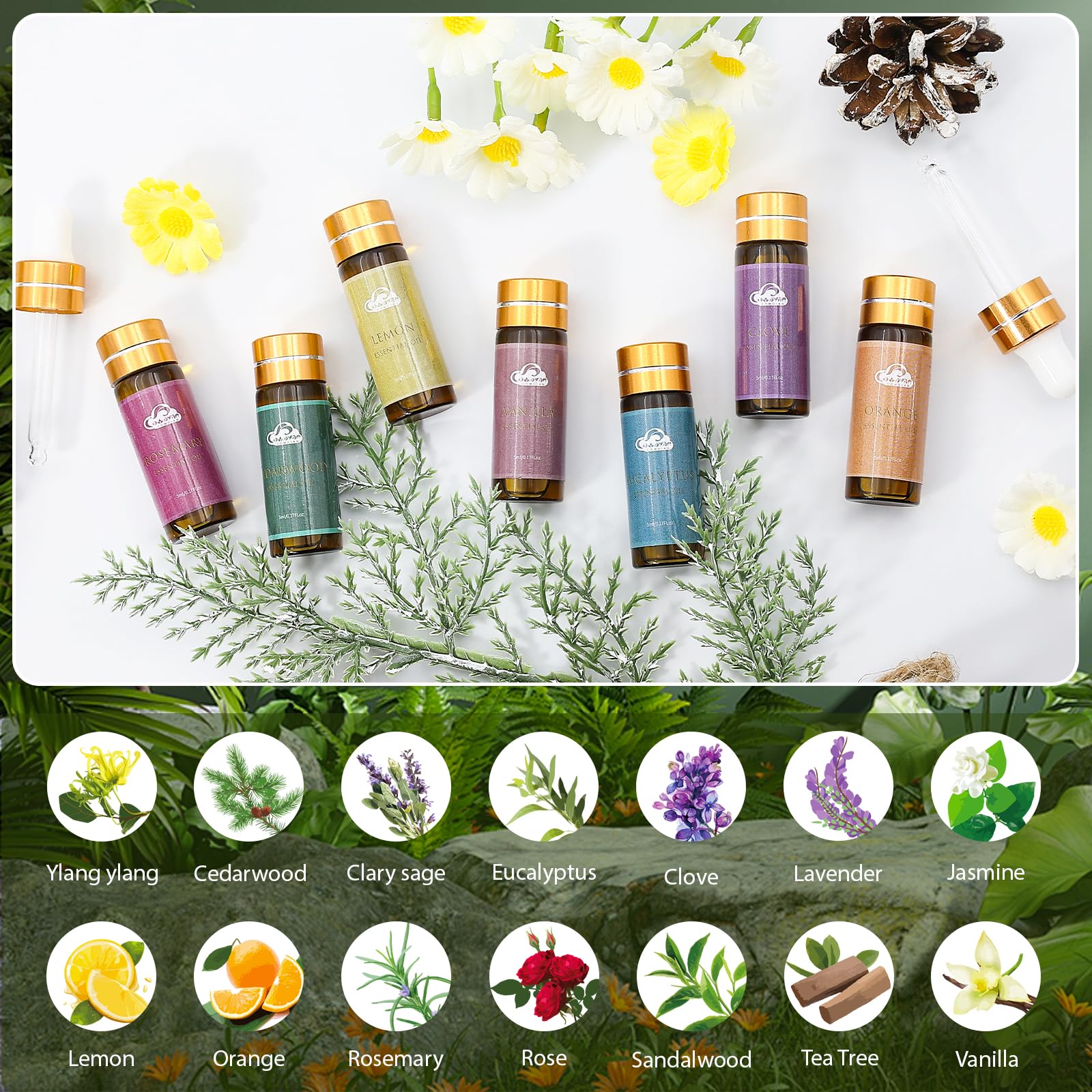 Fragrance Essential Oils Set - 14pcs, Aromatherapy Oils for Skin, Diffusers, Home Care, Humidifier Laundry, Candle Making - Tea Tree, Sandalwood, Lavender, Vanilla, Eucalyptus and More (5mL)