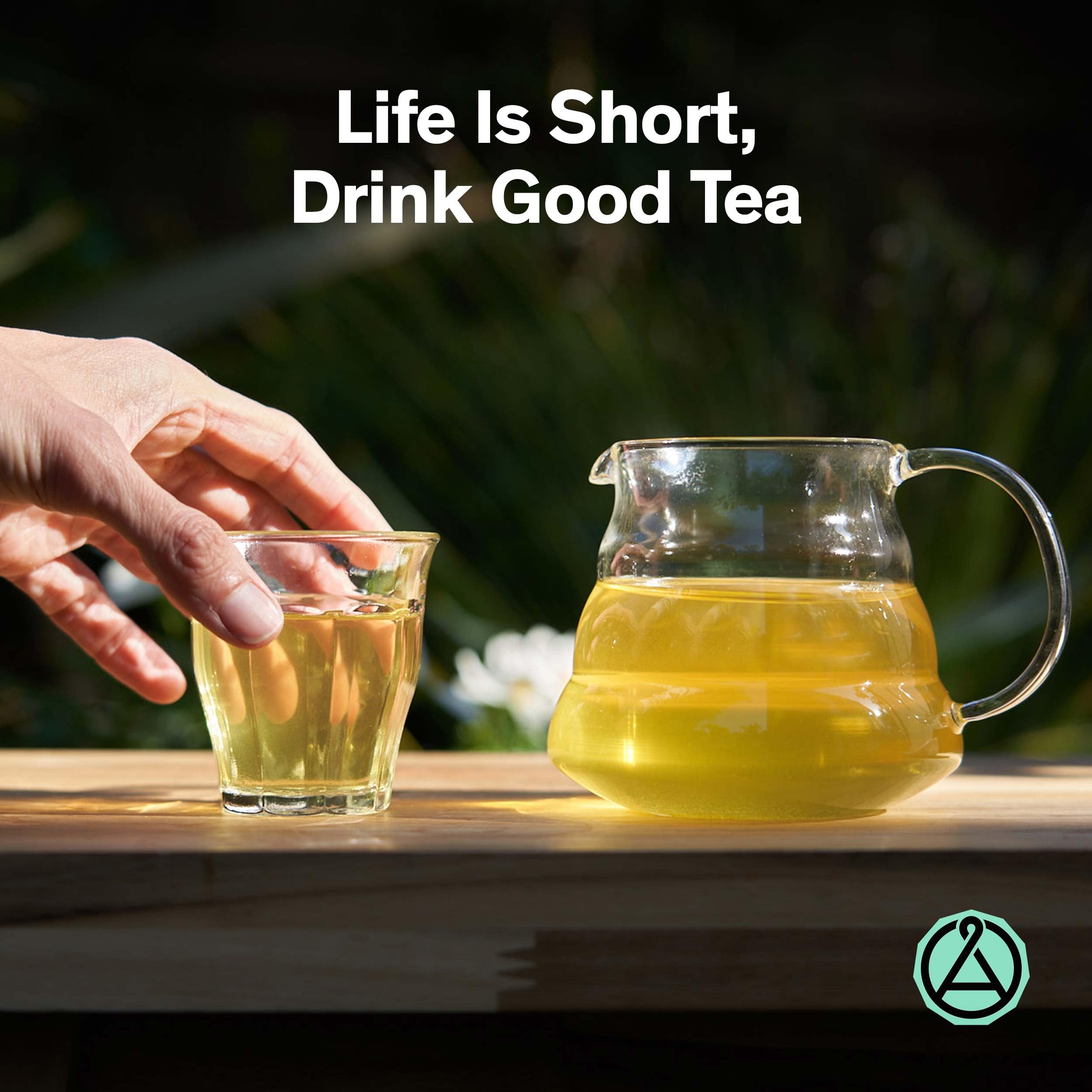 August Uncommon Combray Loose Leaf Tea – Organic Vanilla and Cardamom Green Tea – Vegan, Gluten-Free, and Non-GMO Organic Tea – Bold Dessert-Inspired Flavor in a Resealable 1.8oz Pouch (15-30 Cups)
