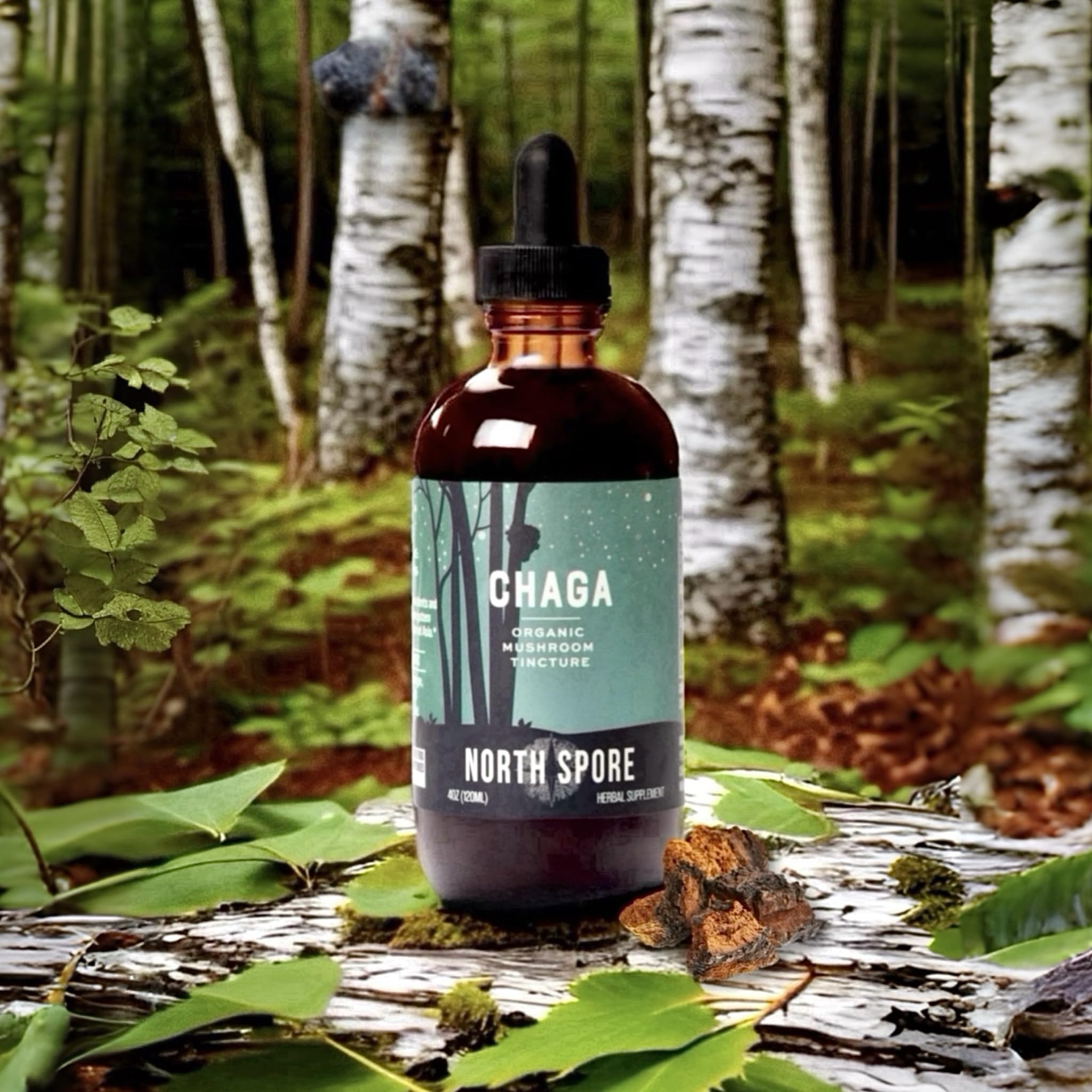 North Spore Chaga Mushroom Tincture | Energy & Wellness Boosting Supplement Drops | Adaptogenic Superfood | Dual Extract Organic Blend, 100% Fruiting Bodies | Non-GMO, Vegan - 2oz