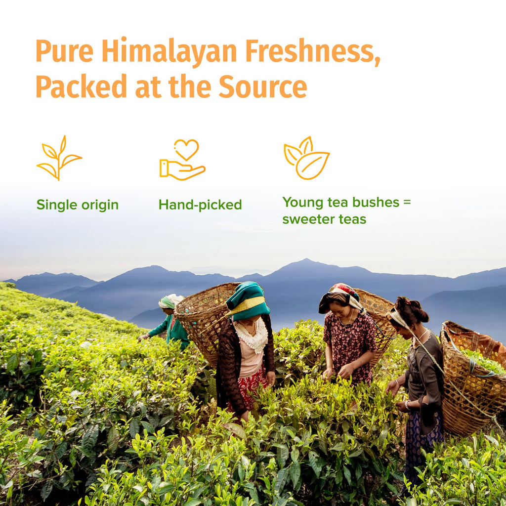 NEPAL TEA Organic Black Loose Leaf Tea - USDA Certified Organic with Gold Tips - Single Origin from a Family Farm in the Himalayas - 3.5 oz / 100g Award-Winning (Kumari Gold)