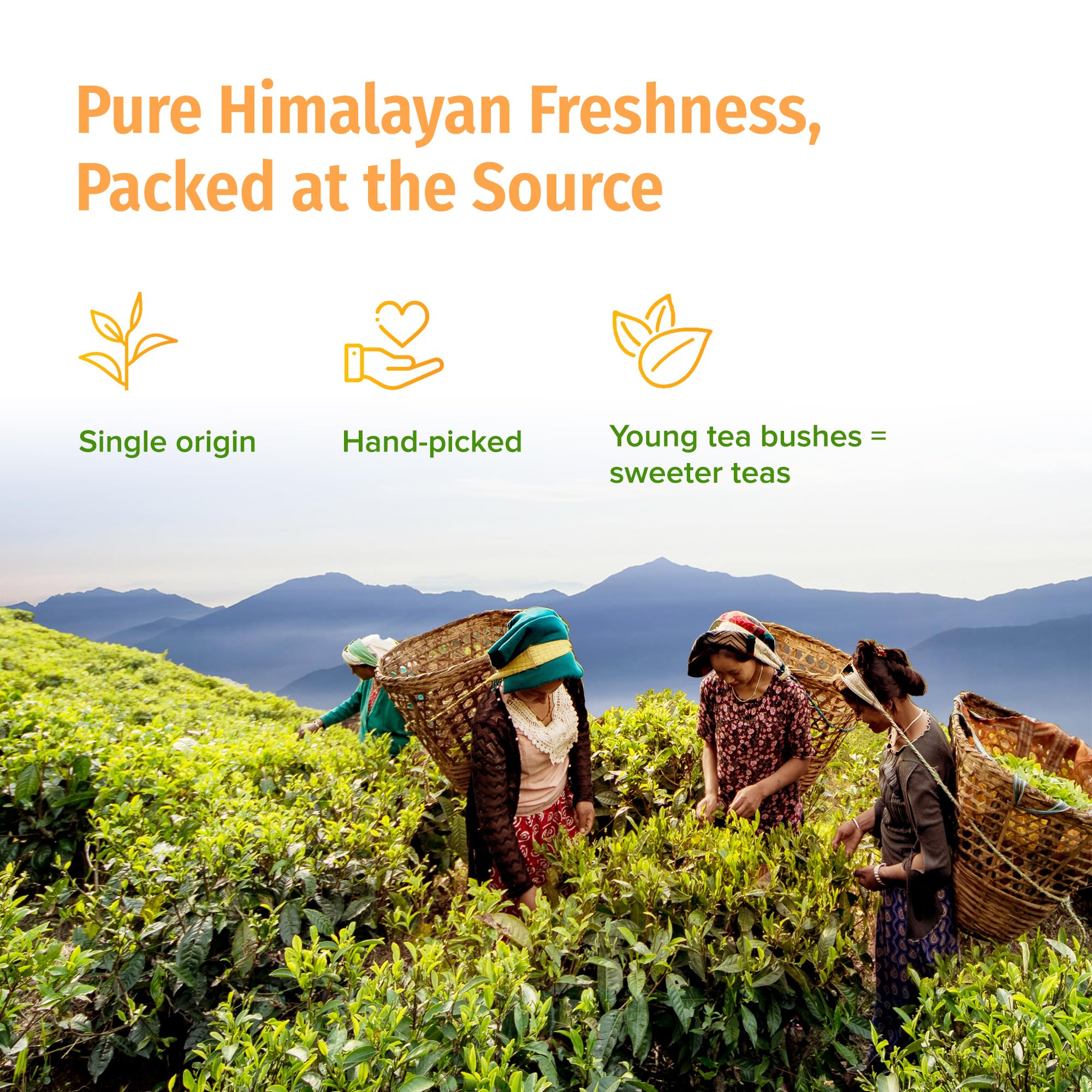 NEPAL TEA Organic Black Loose Leaf Tea - USDA Certified Organic with Gold Tips - Single Origin from a Family Farm in the Himalayas - 3.5 oz / 100g Award-Winning (Kumari Gold)