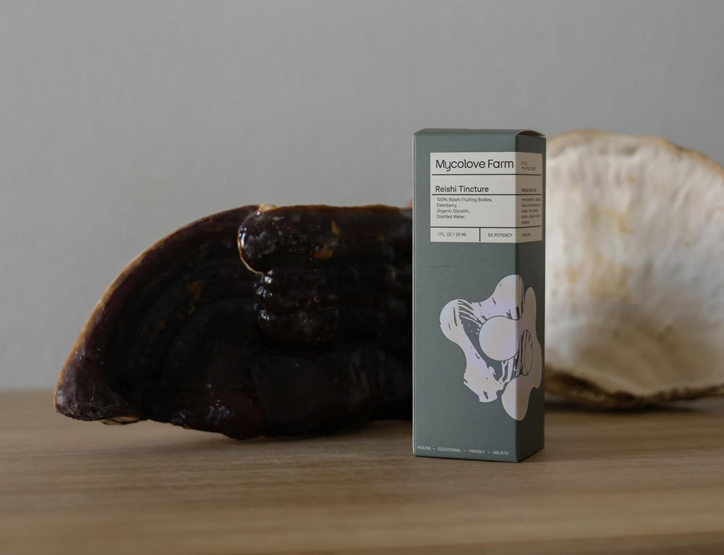 Organic Reishi Mushroom & Elderberry Tincture, Natural Balance & Boost Tincture, Fruiting Body Extract - USDA Certified