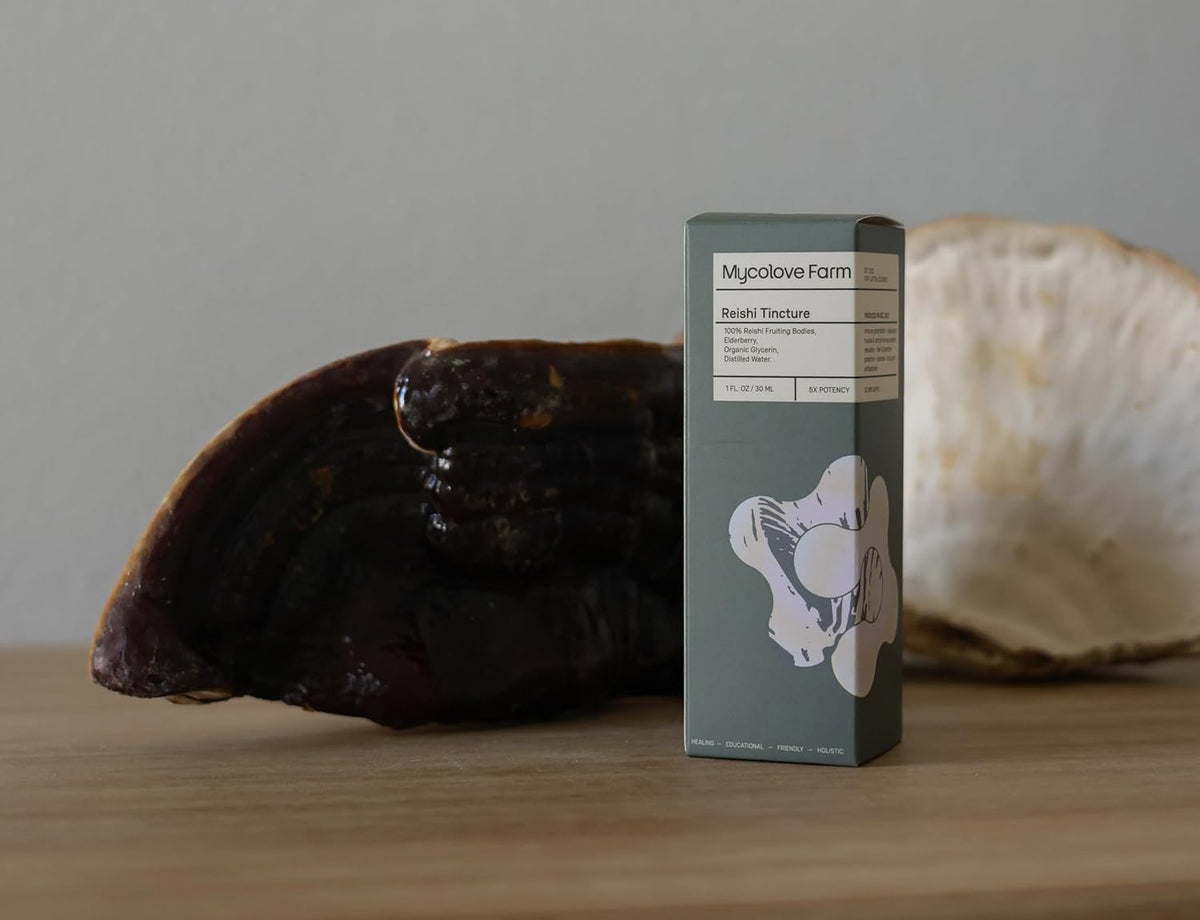 Organic Reishi Mushroom & Elderberry Tincture, Natural Balance & Boost Tincture, Fruiting Body Extract - USDA Certified