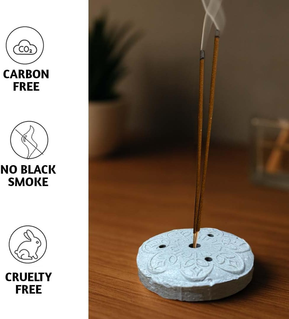 Incense Sticks with Holder (100 Sticks)| Tropical Summer Vibes Incense for Aromatherapy, Meditation, Yoga | No Charcoal, Non Toxic, Long Burning Hawaii Inspired Beach Scent Insence-Sticks