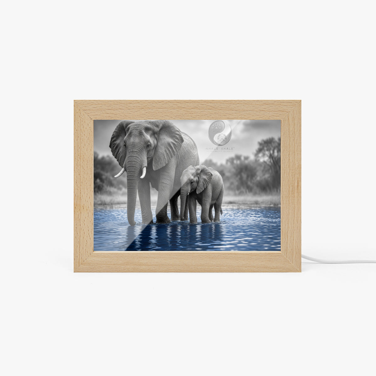 https://jetprint-hkoss.oss-accelerate.aliyuncs.com/merchantUpload/69668/8c72e815b524415e88f99ee66288545a.jpg