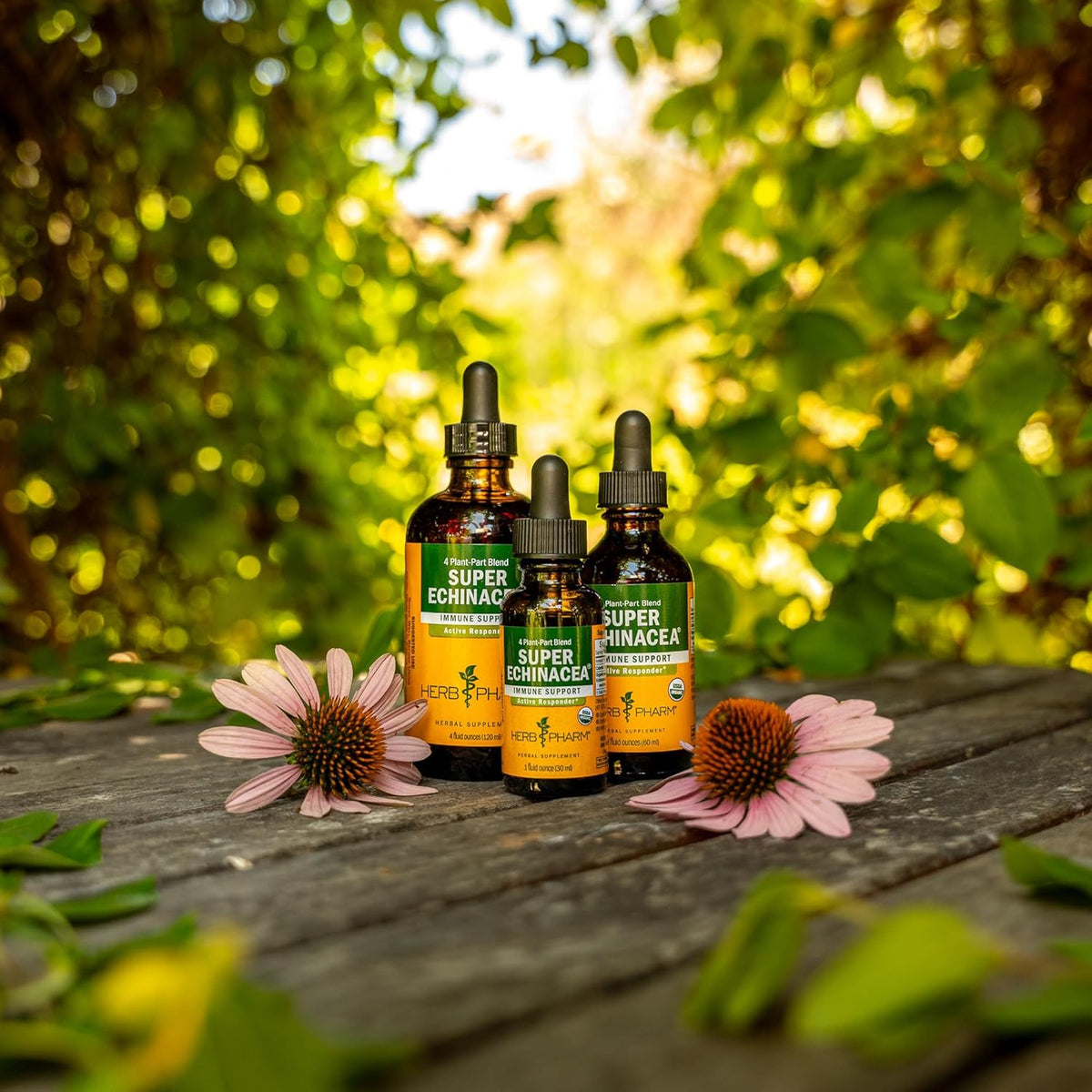 Super Echinacea® Liquid Extract: USDA Organic Immune Support for Year-Round | Fast-Absorbing Echinacea Tincture, 4 Plant-Part Blend: Root, Leaf, Flower & Seed | up to ~3 Week Supply, 1 Oz*