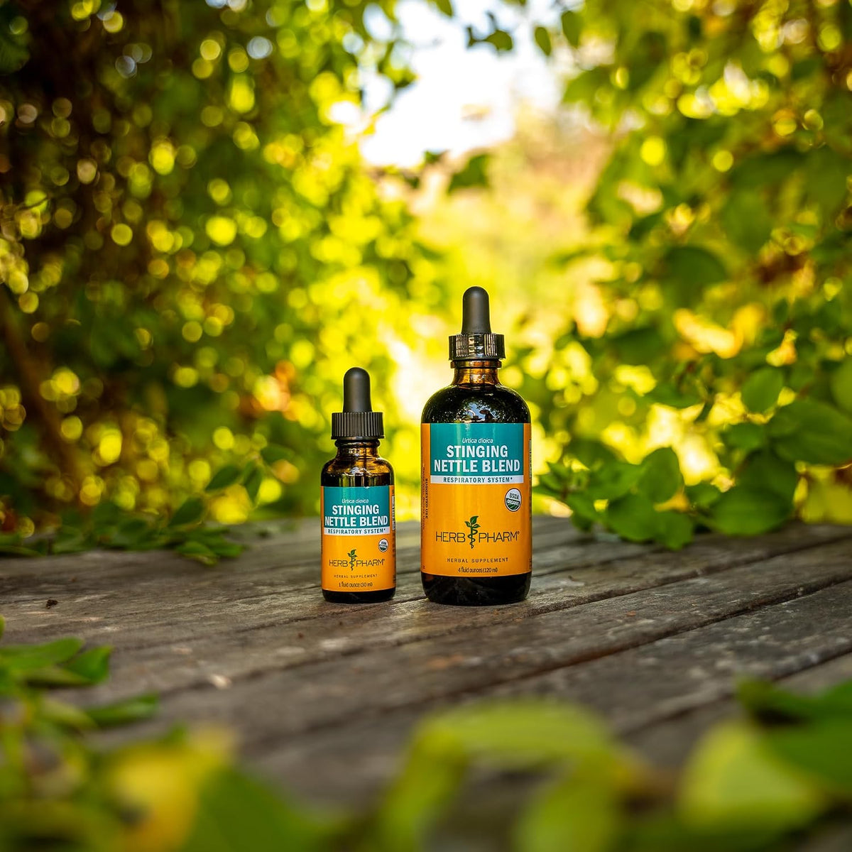 Stinging Nettle Blend Liquid Extract - 1 Ounce (DNETT01)