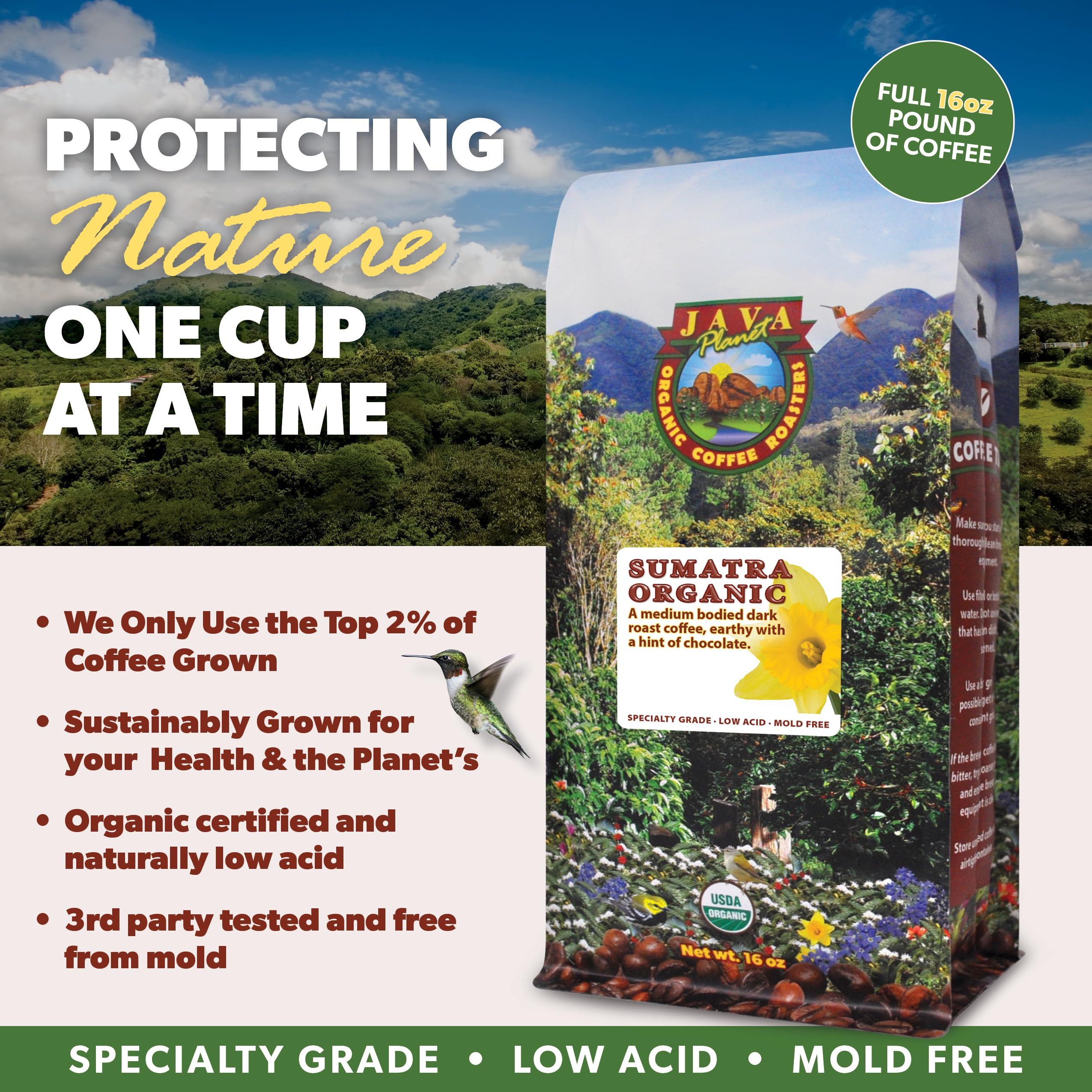 Low Acid Organic Coffee – Whole Bean, Mold-Free & Stomach Friendly by Java Planet, Sumatran Single Origin Coffee, Dark Roast, Smooth Full Flavored, 1LB Bag