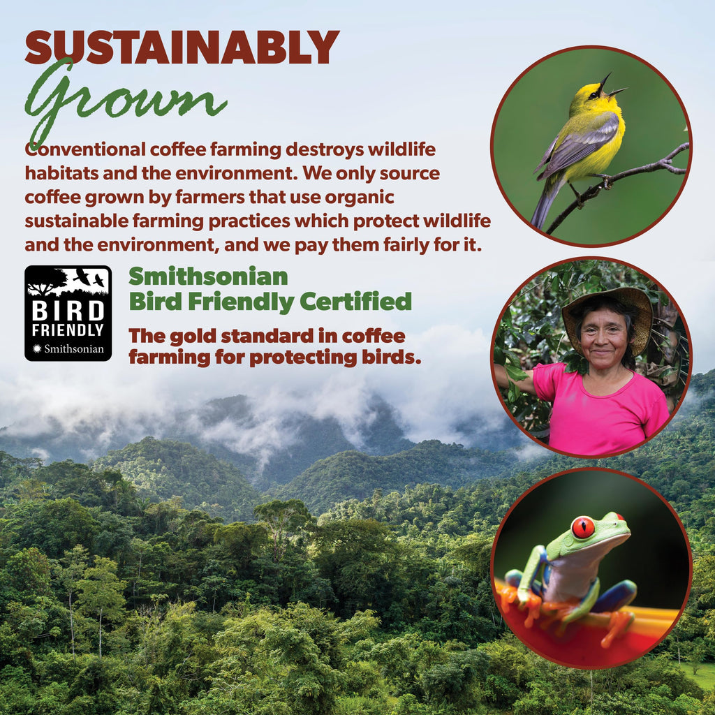 Java Planet Organic Coffee Beans Whole, Medium Dark Roast - Low Acid Single Origin: Colombian Non-GMO Organic Whole Bean Coffee - Third-Party Tested for Purity, Quality & Key Contaminants - 16 Ounces