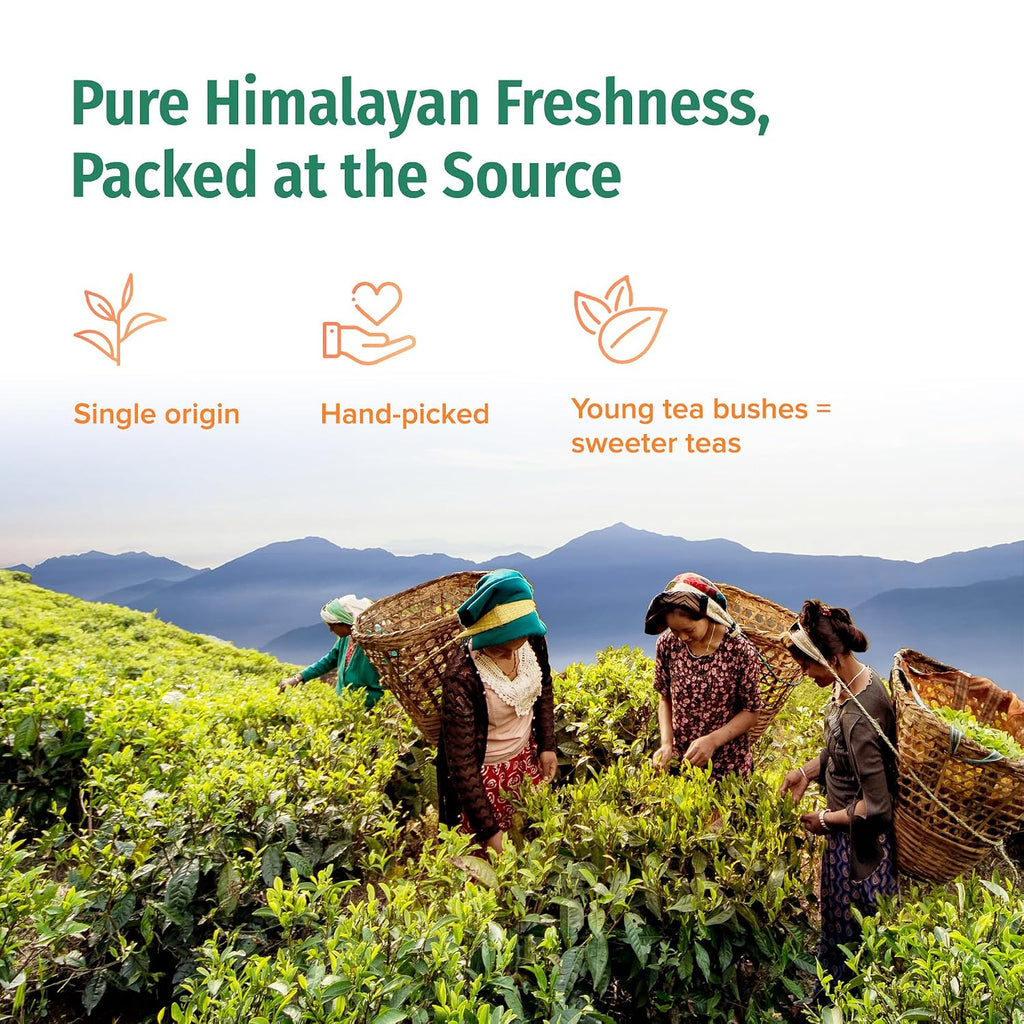 Organic Chai Tea Loose Leaf - Certified Organic Black Tea with Ginger, Cinnamon & Cardamom - Single Origin from a Family Farm in the Himalayas (Nepali Breakfast) - 3.5 Oz (100G)