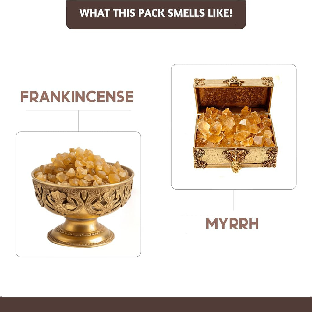 Church Incense Sticks with Holder (100 Sticks) | Frankincense & Myrrh Catholic Incense Stick for Prayer, Daily Worship | No Charcoal,Organic,Non Toxic, 45 Mins, Long Burning Insence-Sticks