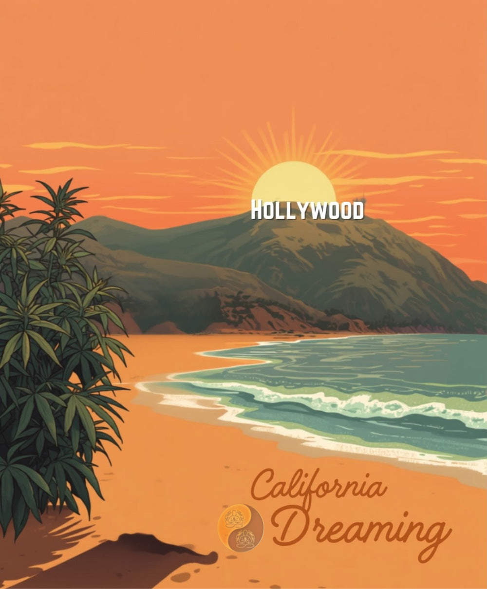 Malibu Reverie