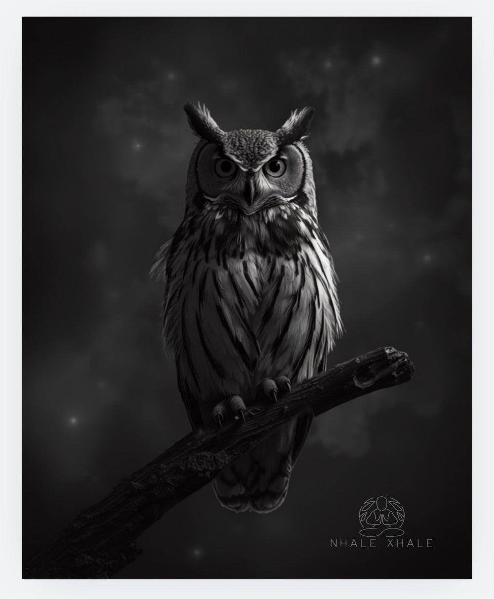 Nocturne Gaze