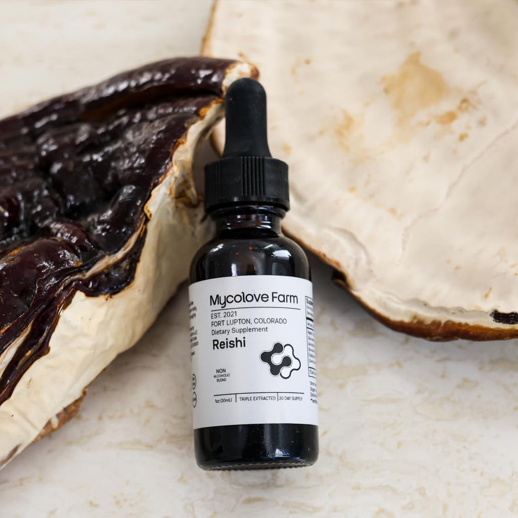 Organic Reishi Mushroom & Elderberry Tincture, Natural Balance & Boost Tincture, Fruiting Body Extract - USDA Certified
