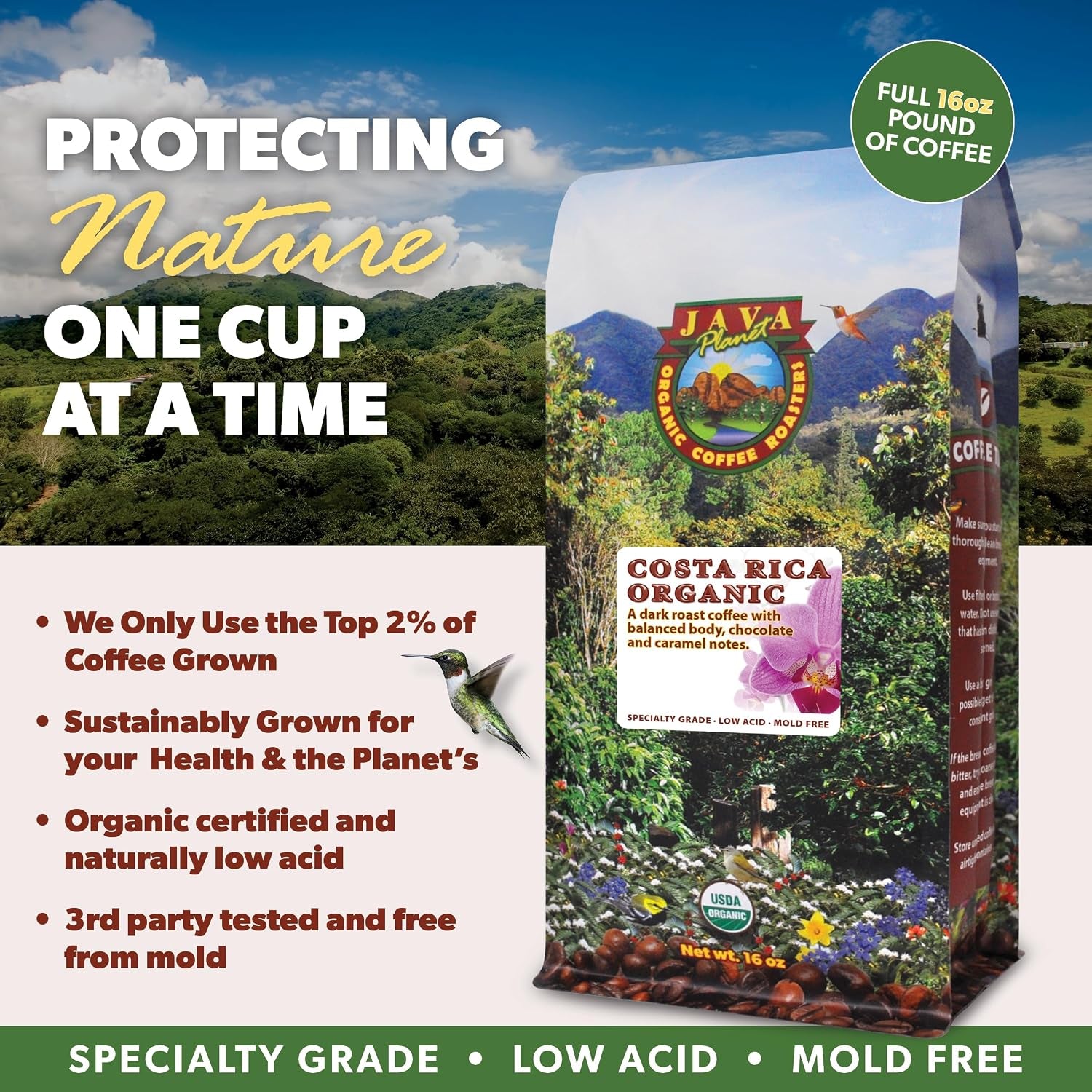 Low Acid Organic Coffee – Whole Bean, Mold-Free & Stomach Friendly by , Costa Rican Single Origin Coffee, Dark Roast, Smooth Full Flavored, 1LB Bag
