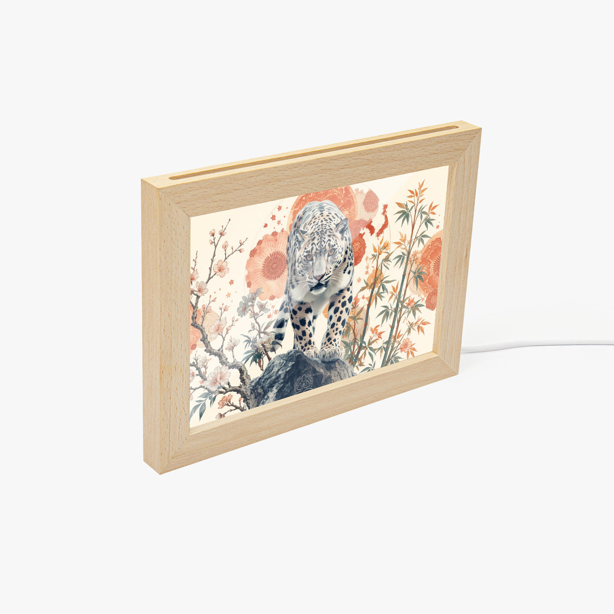 https://jetprint-hkoss.oss-accelerate.aliyuncs.com/merchantUpload/69668/a4301400c1124ef584abaefb0d32b9e0.jpg