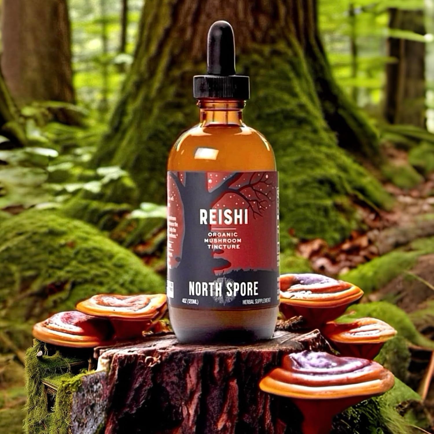 Organic Reishi Mushroom Tincture (2 Oz) | 100% Fruiting Body Extracts | Immune Support, Brain Support | Certified Organic, Vegan, Non-Gmo | Adaptogenic, Nootropic | Made in USA
