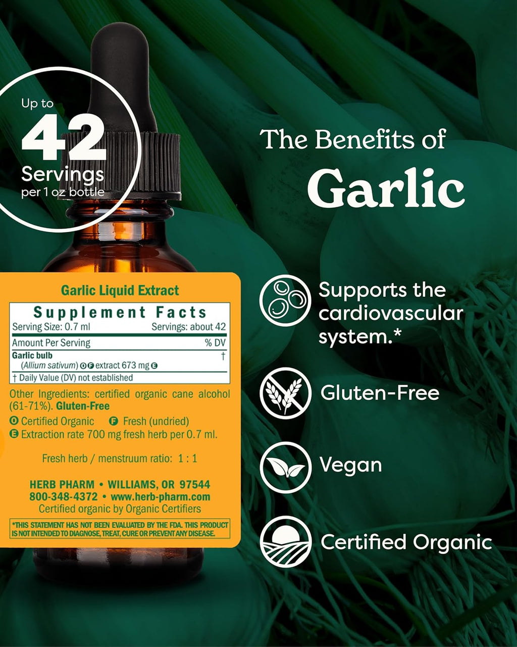 Certified Organic Garlic Liquid Extract for Cardiovascular and Circulatory Support - 1 Ounce