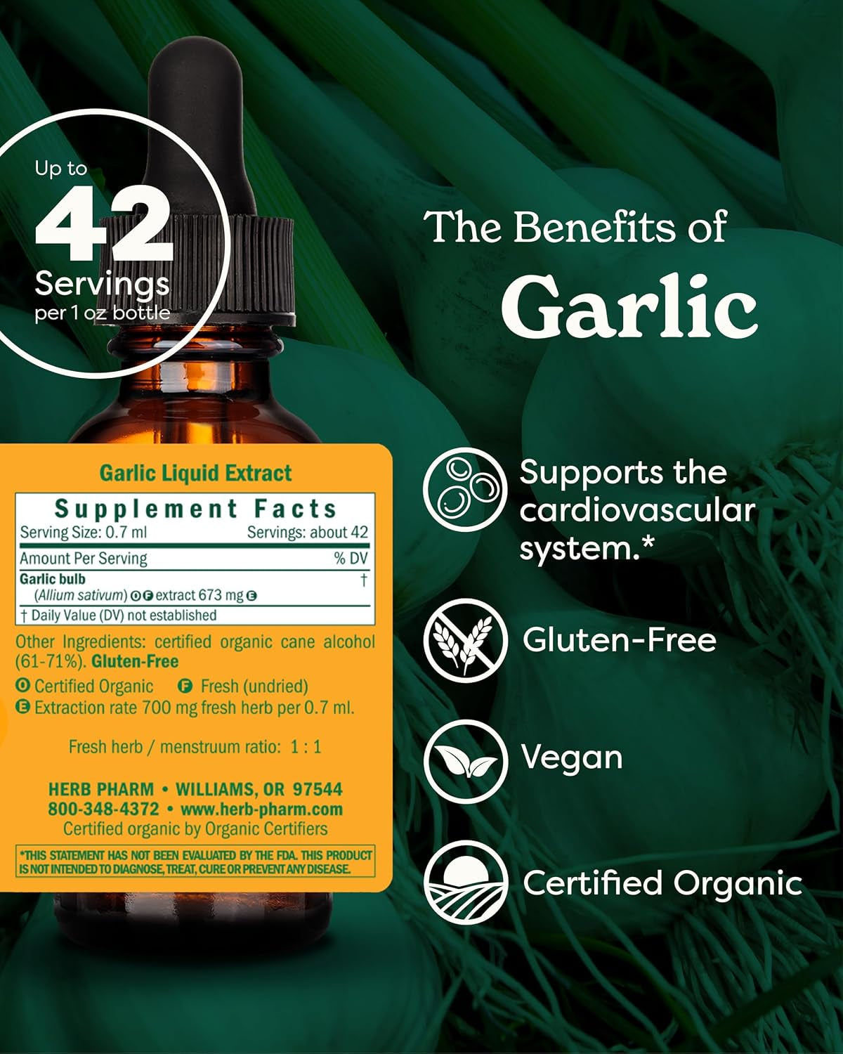 Certified Organic Garlic Liquid Extract for Cardiovascular and Circulatory Support - 1 Ounce