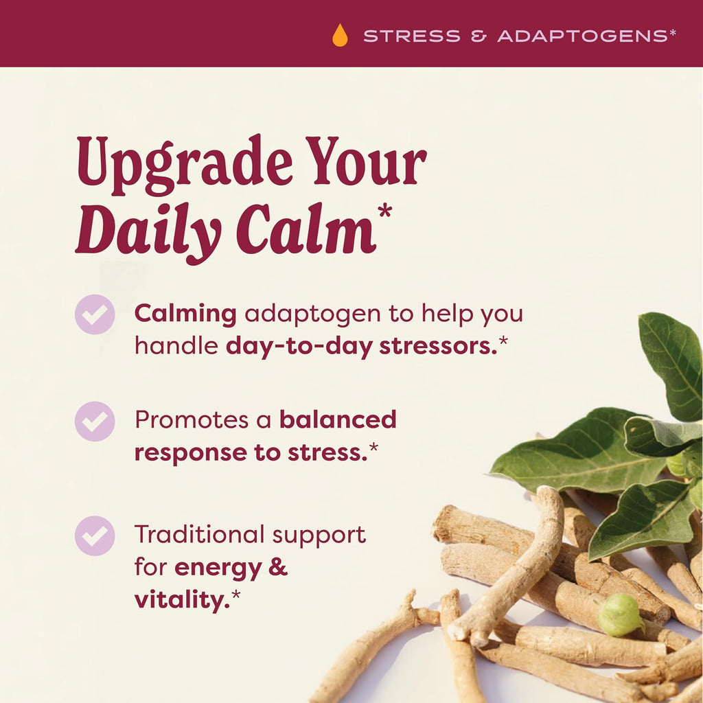 Ashwagandha, Alcohol Free: Liquid Extract, USDA Organic | Traditional Stress Support Supplement, Ashwagandha Root Glycerite, Tasty Adaptogen Extract for Adults | up to 6 Week Supply, 2 Oz*
