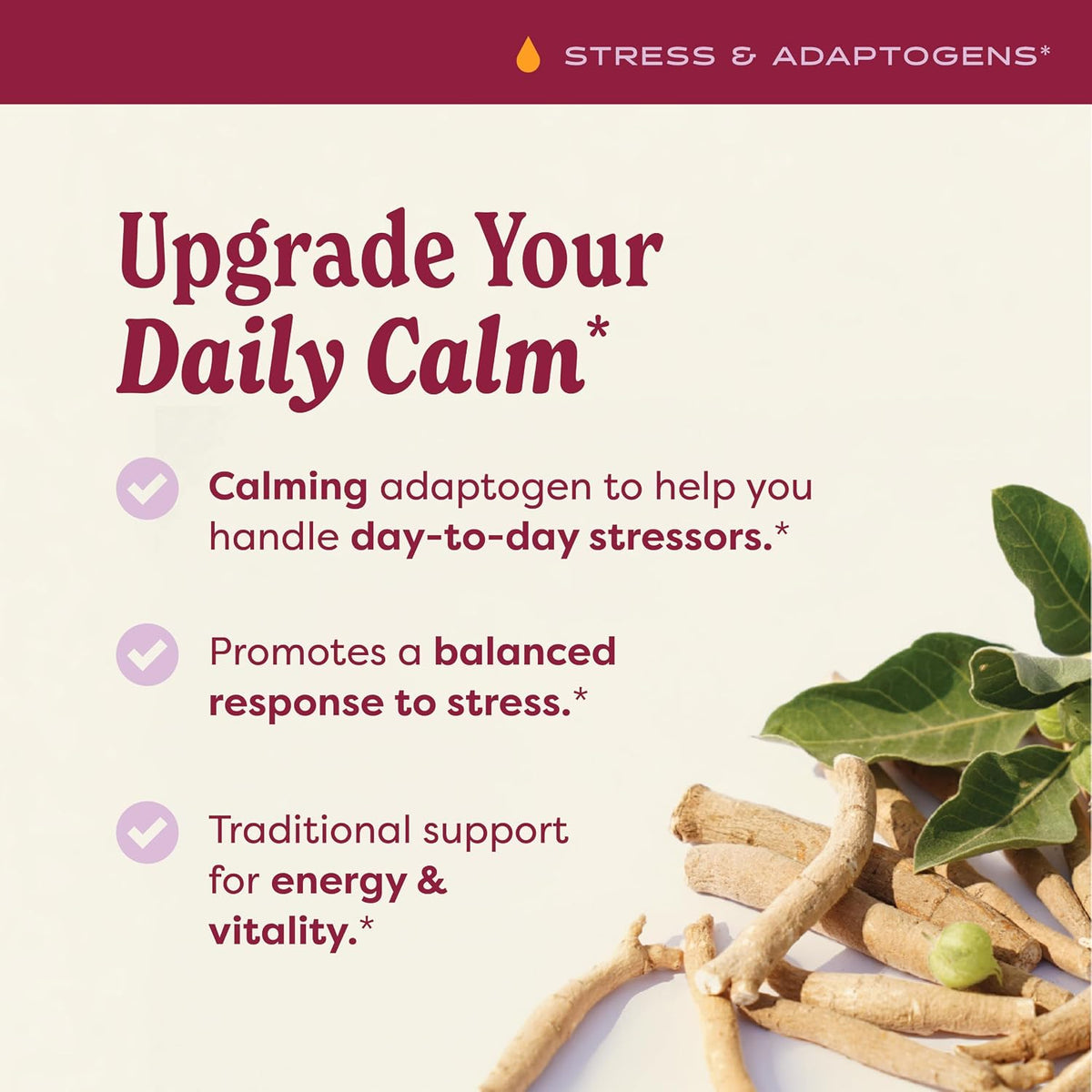 Ashwagandha, Alcohol Free: Liquid Extract, USDA Organic | Traditional Stress Support Supplement, Ashwagandha Root Glycerite, Tasty Adaptogen Extract for Adults | up to 6 Week Supply, 2 Oz*