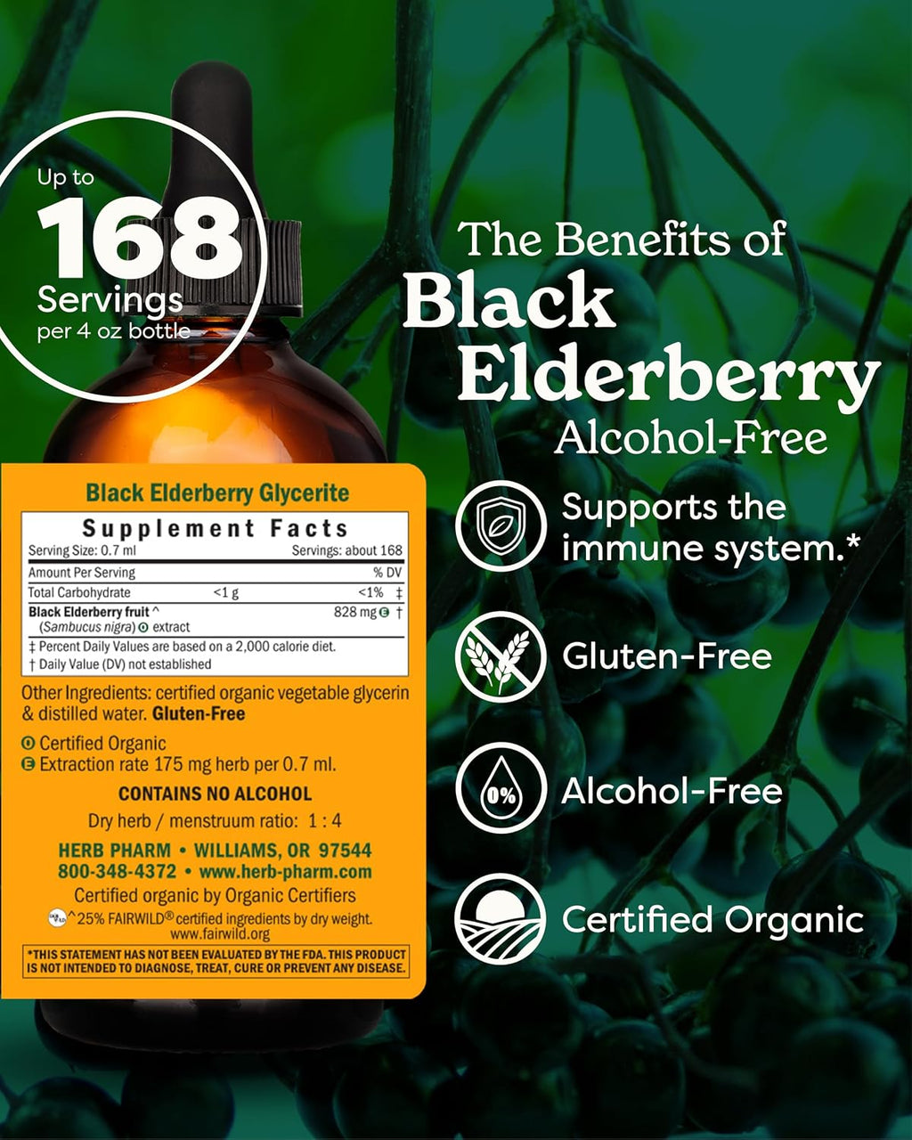 Certified Organic Black Elderberry Liquid Extract Drops for Immune System Support, Alcohol-Free Glycerite, 4 Oz