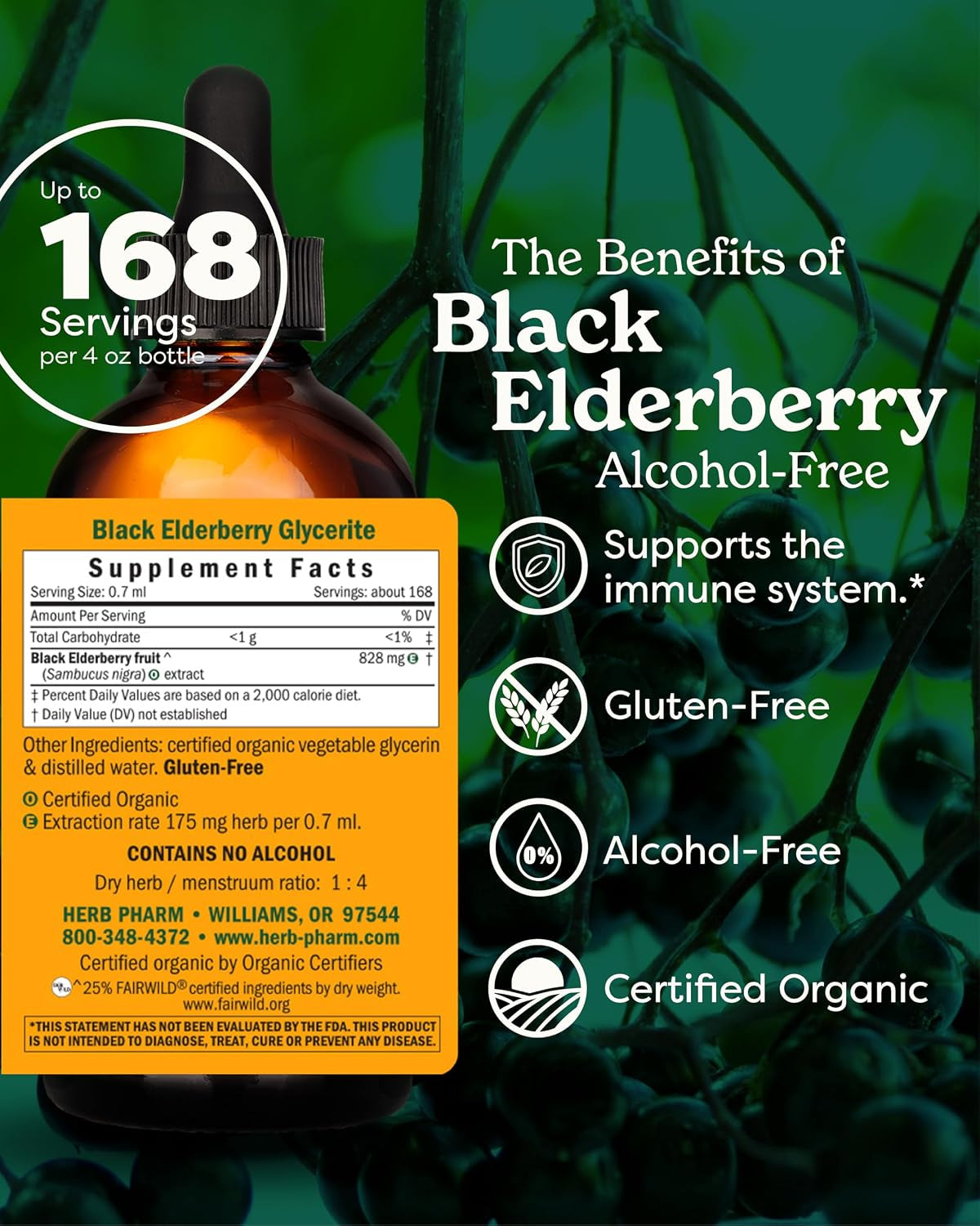 Certified Organic Black Elderberry Liquid Extract Drops for Immune System Support, Alcohol-Free Glycerite, 4 Oz