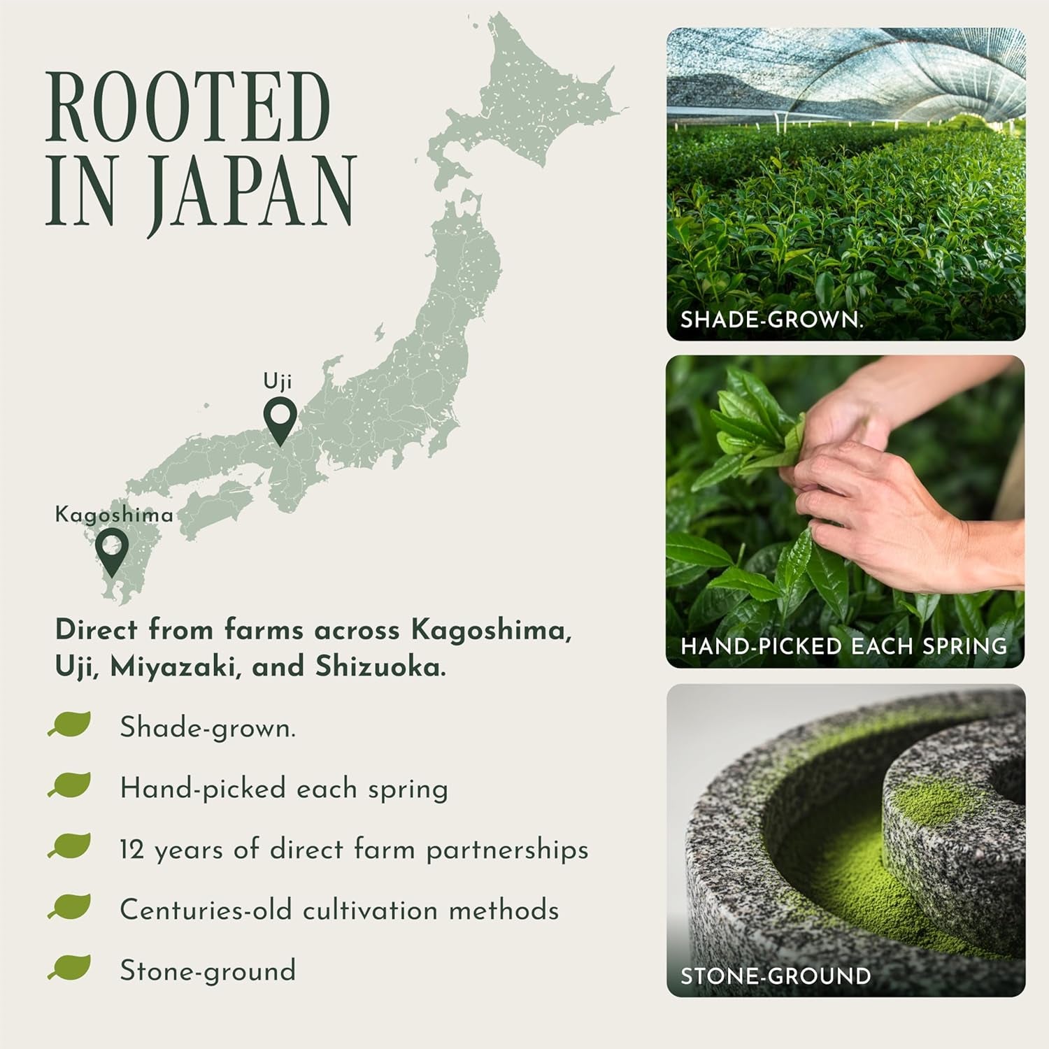 Matcha - Ceremonial Grade Matcha Powder, Organic First Harvest Japanese Green Tea Powder, from Uji, Japan (60G/2.12Oz)