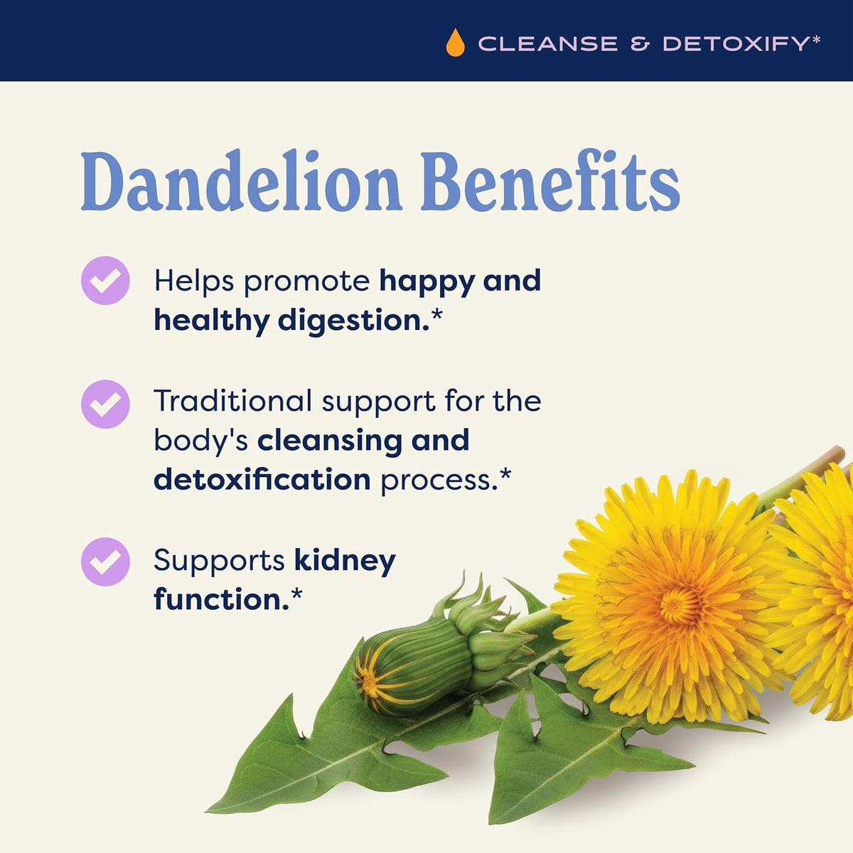 Dandelion Alcohol Free Extract: Organic Dandelion Supplement, Glycerite, Fast-Absorbing, Cleansing & Detoxification Process Support, Vegan, Non-Gmo, 1 Oz*