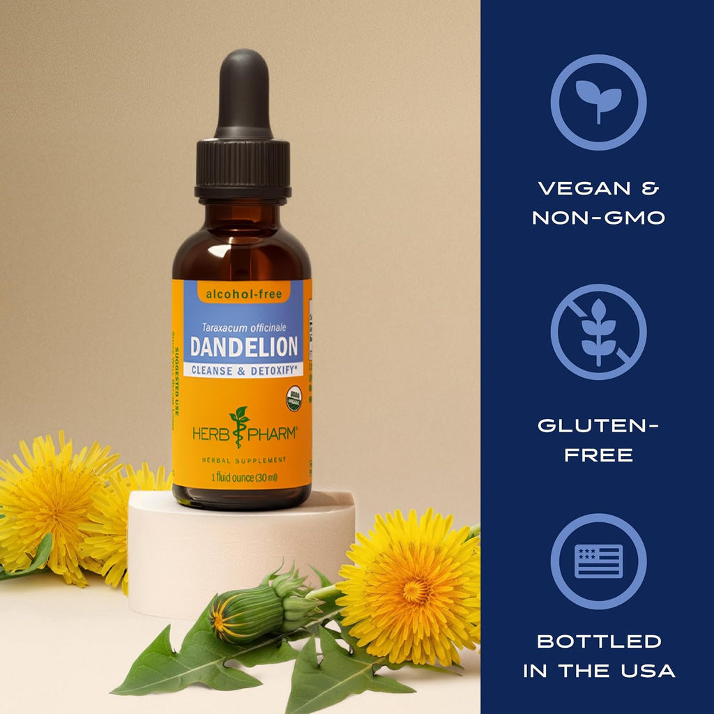 Dandelion Alcohol Free Extract: Organic Dandelion Supplement, Glycerite, Fast-Absorbing, Cleansing & Detoxification Process Support, Vegan, Non-Gmo, 1 Oz*