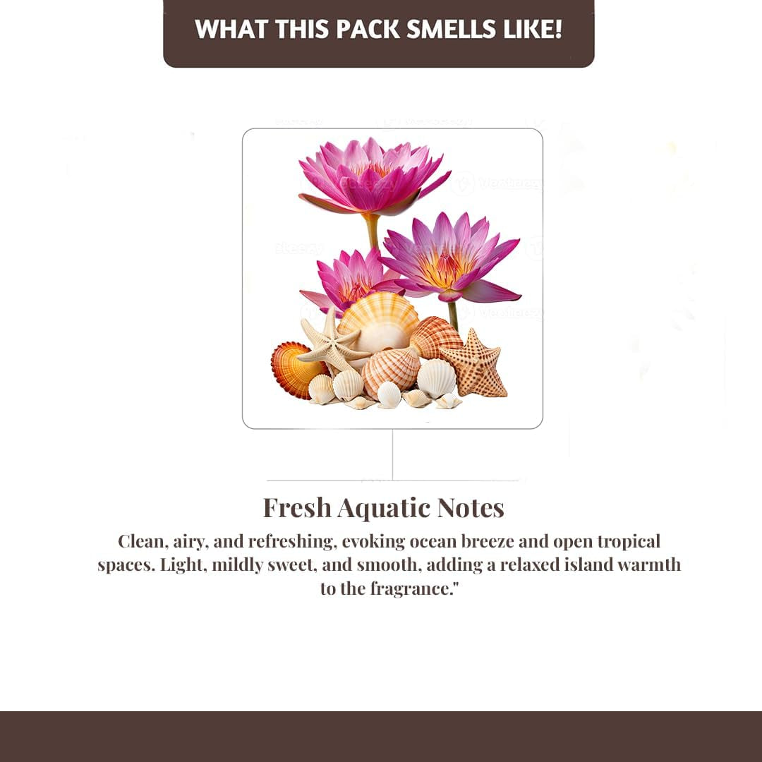 Incense Sticks with Holder (100 Sticks)| Tropical Summer Vibes Incense for Aromatherapy, Meditation, Yoga | No Charcoal, Non Toxic, Long Burning Hawaii Inspired Beach Scent Insence-Sticks