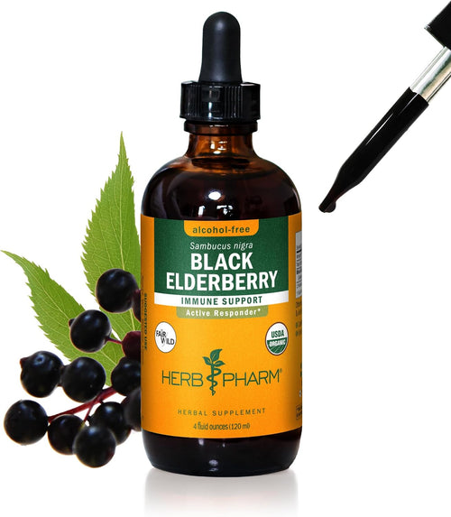 Certified Organic Black Elderberry Liquid Extract Drops for Immune System Support, Alcohol-Free Glycerite, 4 Oz
