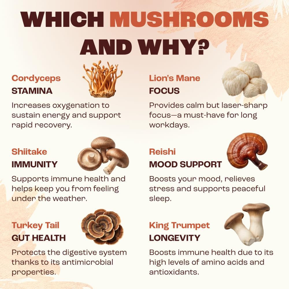Mushroom Medium Roast Coffee USDA Organic with 6 Adaptogenic Mushrooms, USA Grown Instant Coffee for Better Energy, Focus Digestion Immunity with Lions Mane & Turkey Tail 30. Pack of 1