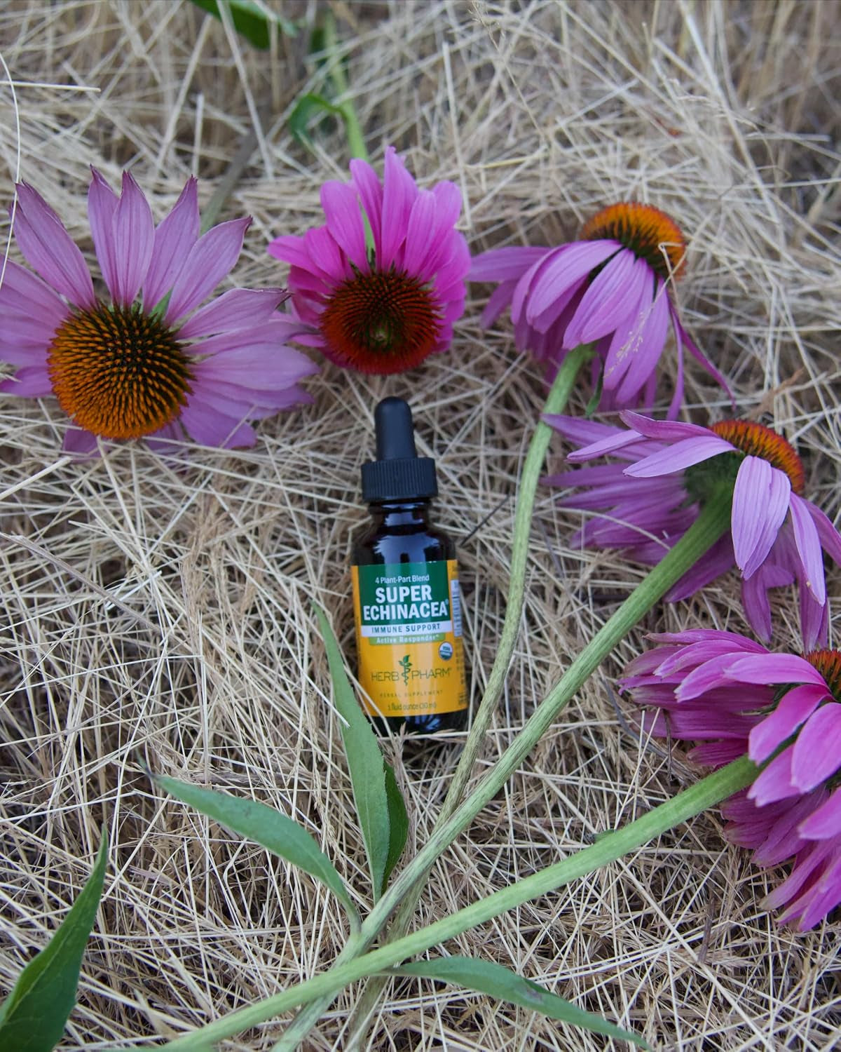 Super Echinacea® Liquid Extract: USDA Organic Immune Support for Year-Round | Fast-Absorbing Echinacea Tincture, 4 Plant-Part Blend: Root, Leaf, Flower & Seed | up to ~3 Week Supply, 1 Oz*