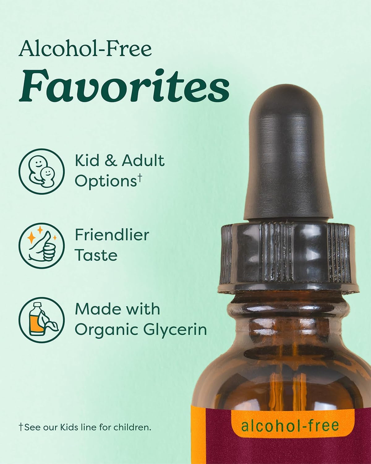 Certified Organic Black Elderberry Liquid Extract Drops for Immune System Support, Alcohol-Free Glycerite, 4 Oz