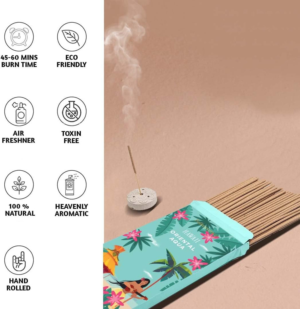 Incense Sticks with Holder (100 Sticks)| Tropical Summer Vibes Incense for Aromatherapy, Meditation, Yoga | No Charcoal, Non Toxic, Long Burning Hawaii Inspired Beach Scent Insence-Sticks