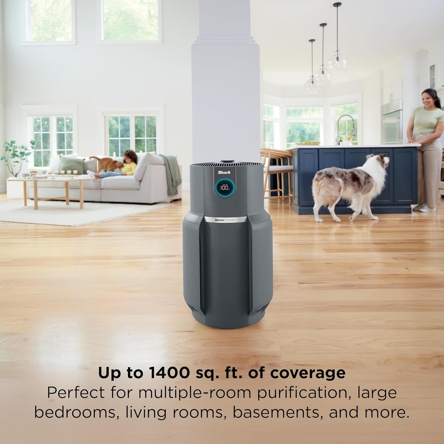 Shark Air Purifier for Home, Neverchange Max, 1,300 Sq. Ft. for Large Room, Kitchen, Home Office, Hepa-Exceeding Filter, Captures Pollutants, Pet Dander, Dust, Odor, Smoke, and More, HP301, Grey