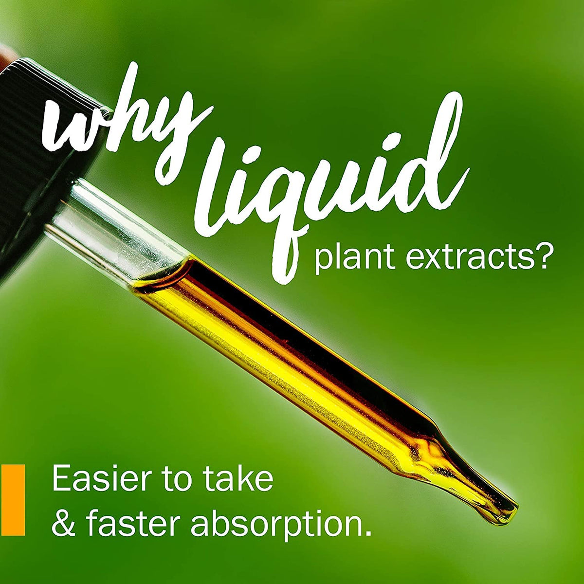 Usnea Liquid Extract for Cleansing and Detoxification - 4 Ounce