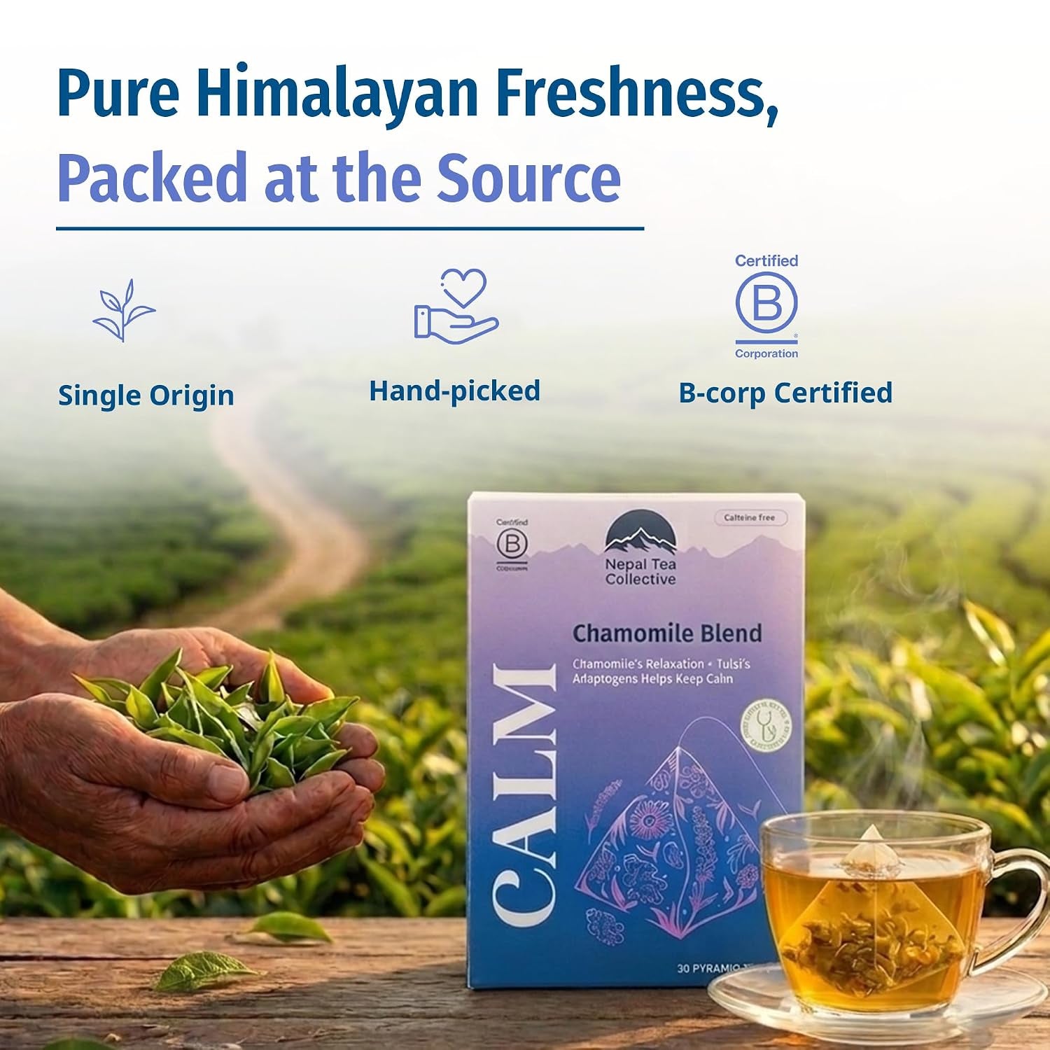Calm Chamomile Ginger Tea Bags, 30 Count | Caffeine Free Herbal Tea with Tulsi | Naturopathic Sleep & Relaxation Blend | Organic Pyramid Bags, Plastic Free